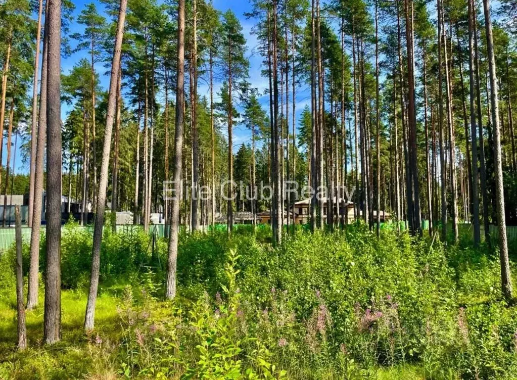 Участок в Санкт-Петербург, Санкт-Петербург, Зеленогорск  (38.0 сот.) - Фото 1