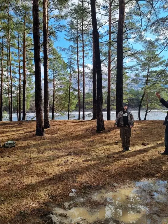 Участок в Алтай, Чемальский район, с. Аюла Центральная ул., 72 (62.2 ... - Фото 1