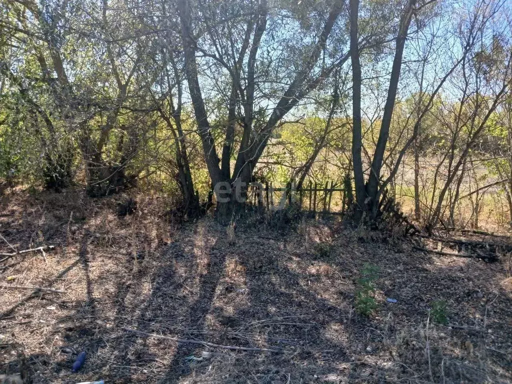 Участок в Белгородская область, Валуйский муниципальный округ, с. ... - Фото 1