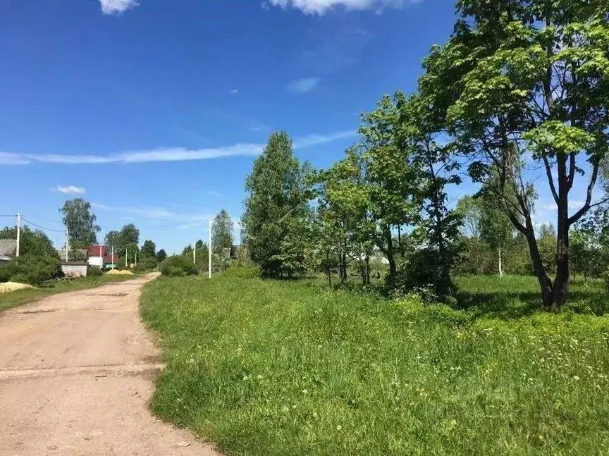 Участок в Новгородская область, Малая Вишера ул. Саши Александровой, ... - Фото 1