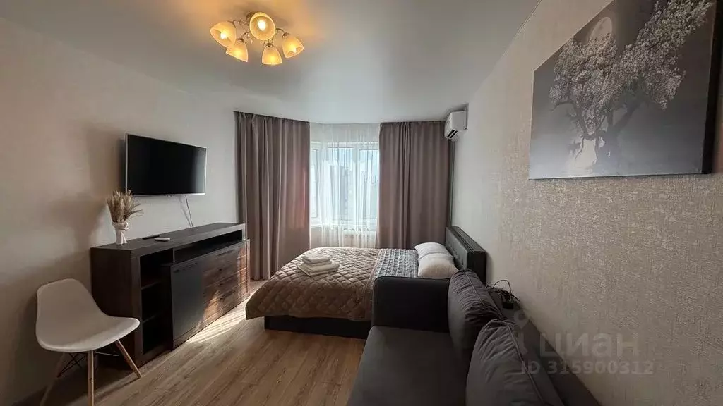 1-к кв. Воронежская область, Воронеж ул. Конструкторов, 29Ак2 (40.0 м) - Фото 0