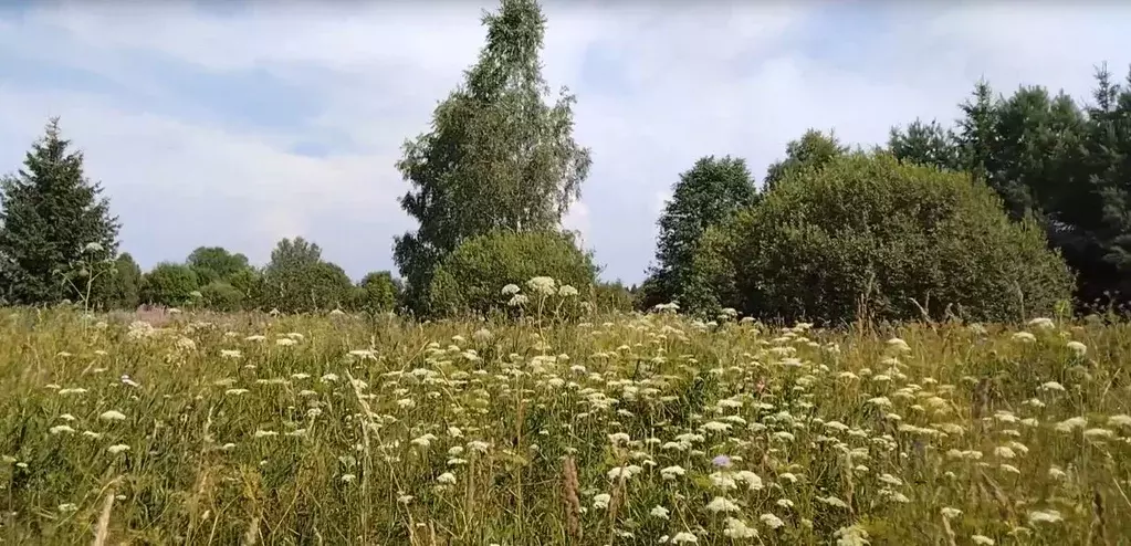 Участок в Московская область, Наро-Фоминский городской округ, д. ... - Фото 0