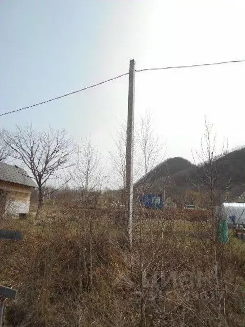 Участок в Приморский край, Партизанский муниципальный округ, с. ... - Фото 0