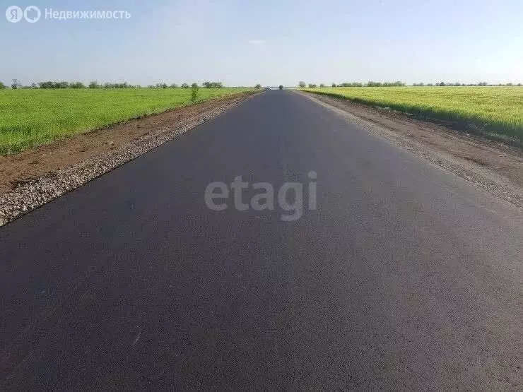 Участок в Старооскольский городской округ, село Новокладовое, СНТ ... - Фото 1