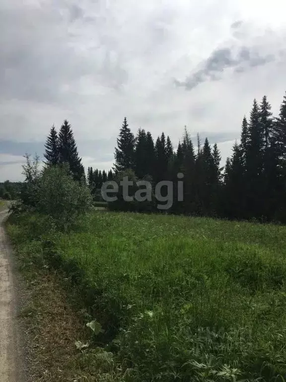 Участок в Свердловская область, Нижний Тагил городской округ, с. Сулем ... - Фото 1