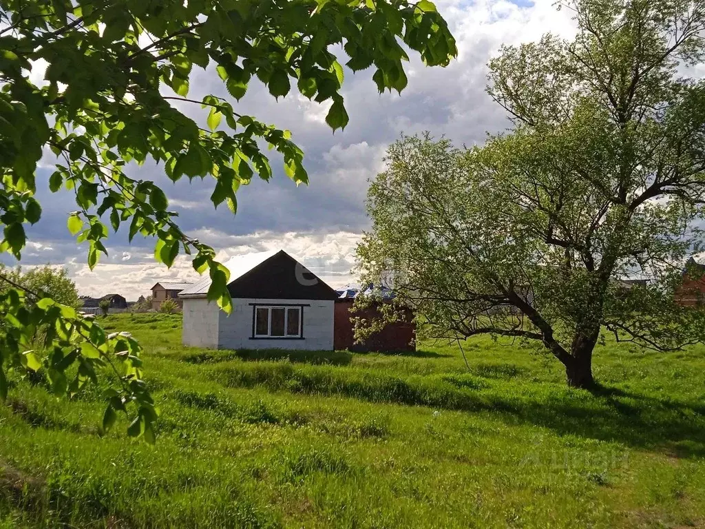 Дом в Калужская область, Дзержинский район, с. Дворцы  (31 м) - Фото 0