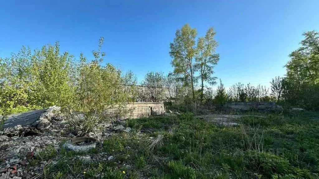 Участок в Кемеровская область, Кемерово пер. Нартова (12.4 сот.) - Фото 0