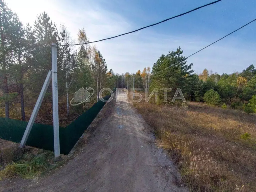 Участок в Тюменская область, Тюмень Велижанский тракт, 7-й км (13.8 ... - Фото 1