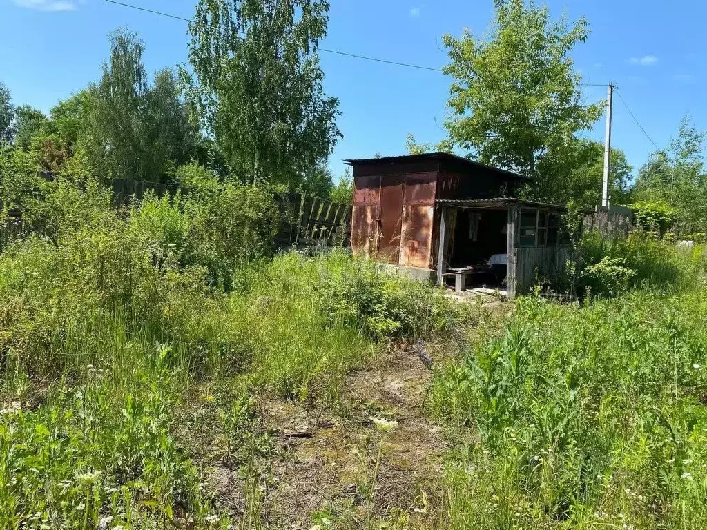 Участок в Брянская область, Брянск Рассвет садовое общество, 2 (7.4 ... - Фото 1