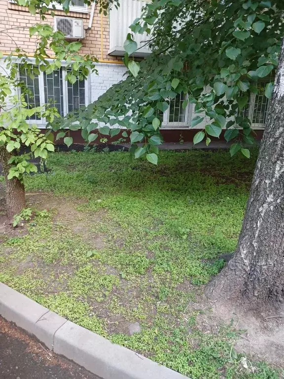 Помещение свободного назначения в Москва 9-я Парковая ул., 5 (117 м) - Фото 2