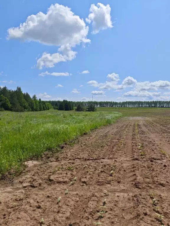 Участок в Татарстан, Рыбно-Слободский район, Балыклы-Чукаевское с/пос  ... - Фото 1