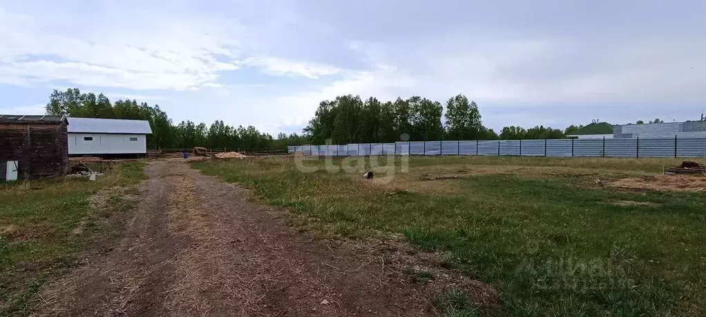 Участок в Новосибирская область, Искитимский район, с. Улыбино ... - Фото 0