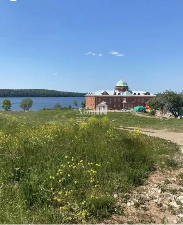 Участок в Псковская область, Новоржевский муниципальный округ, д. ... - Фото 1