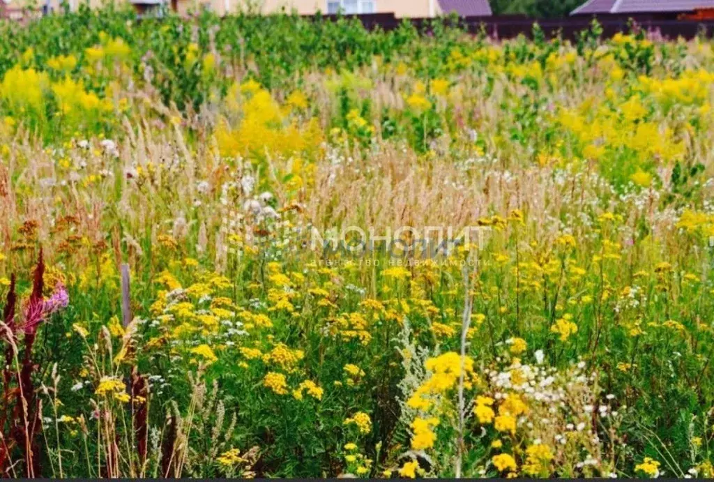 Участок в Нижегородская область, Дальнеконстантиновский муниципальный ... - Фото 2