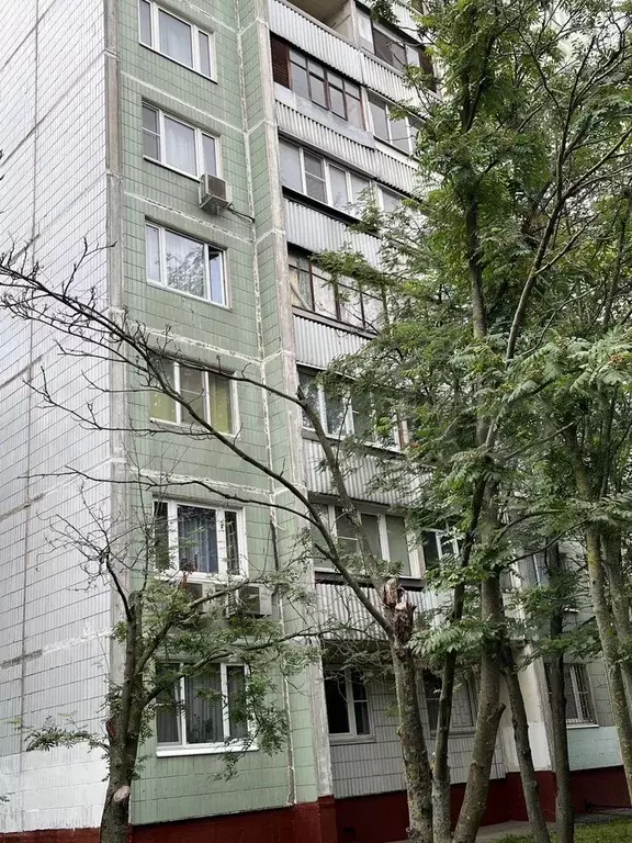 1-к. квартира, 36 м, 4/16 эт. - Фото 1