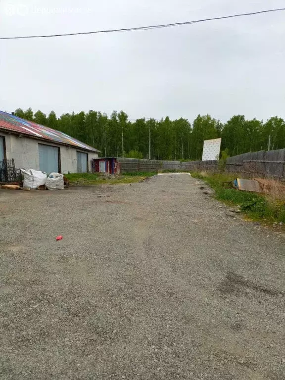 Участок в Челябинская область, Сосновский муниципальный округ, село ... - Фото 1