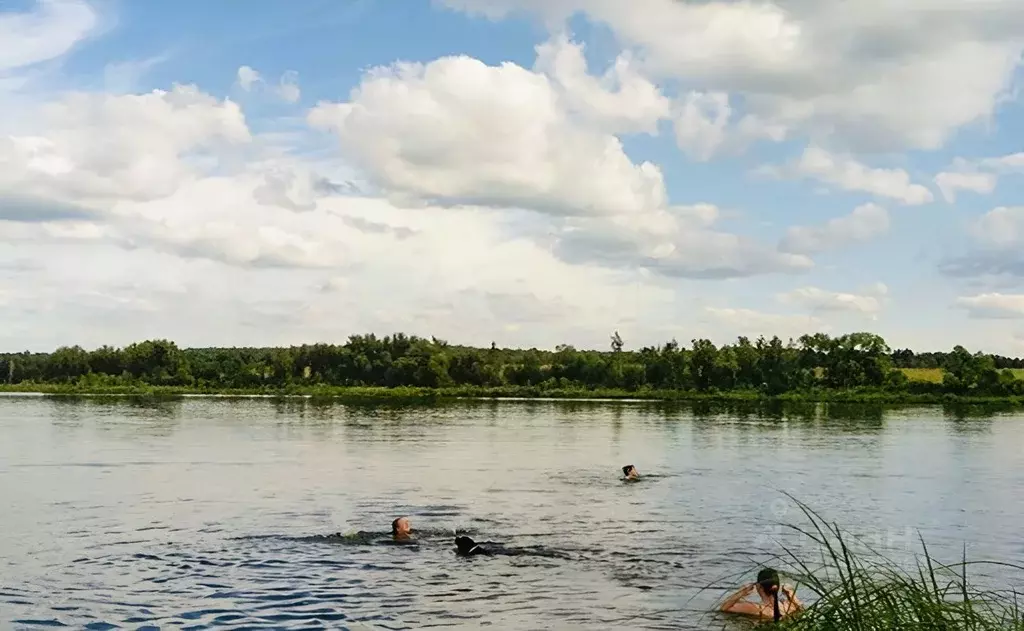 Участок в Московская область, Клин городской округ, д. Губино  (12.0 ... - Фото 1