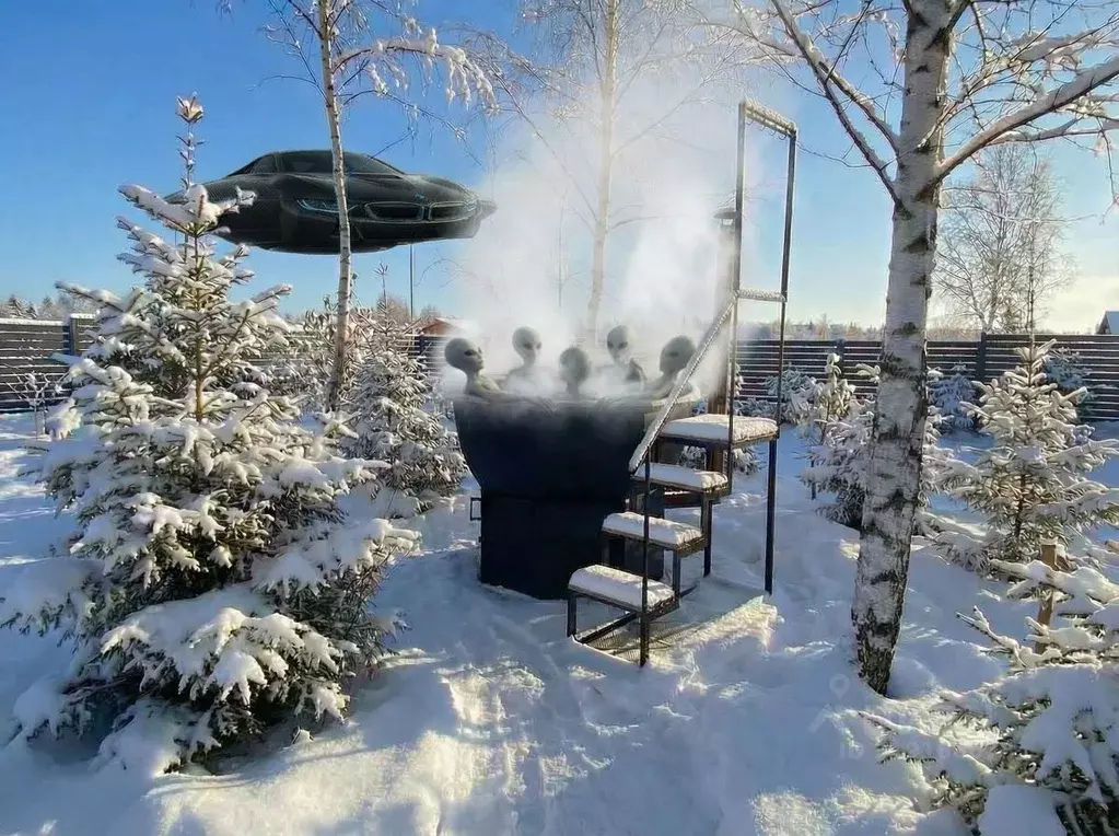 Дом в Московская область, Клин городской округ, Вельга Парк кп ул. ... - Фото 1