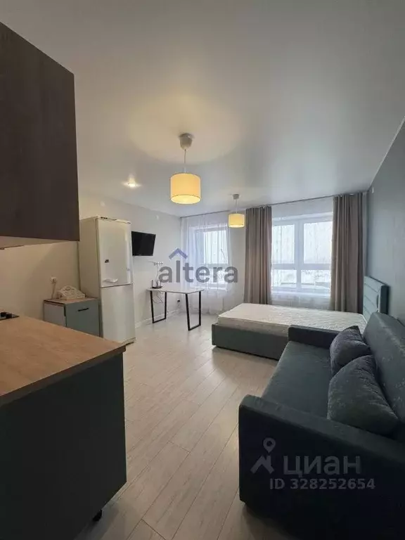 Студия Татарстан, с. Высокая Гора ул. Ирека Миннахметова, 3 (26.0 м) - Фото 2