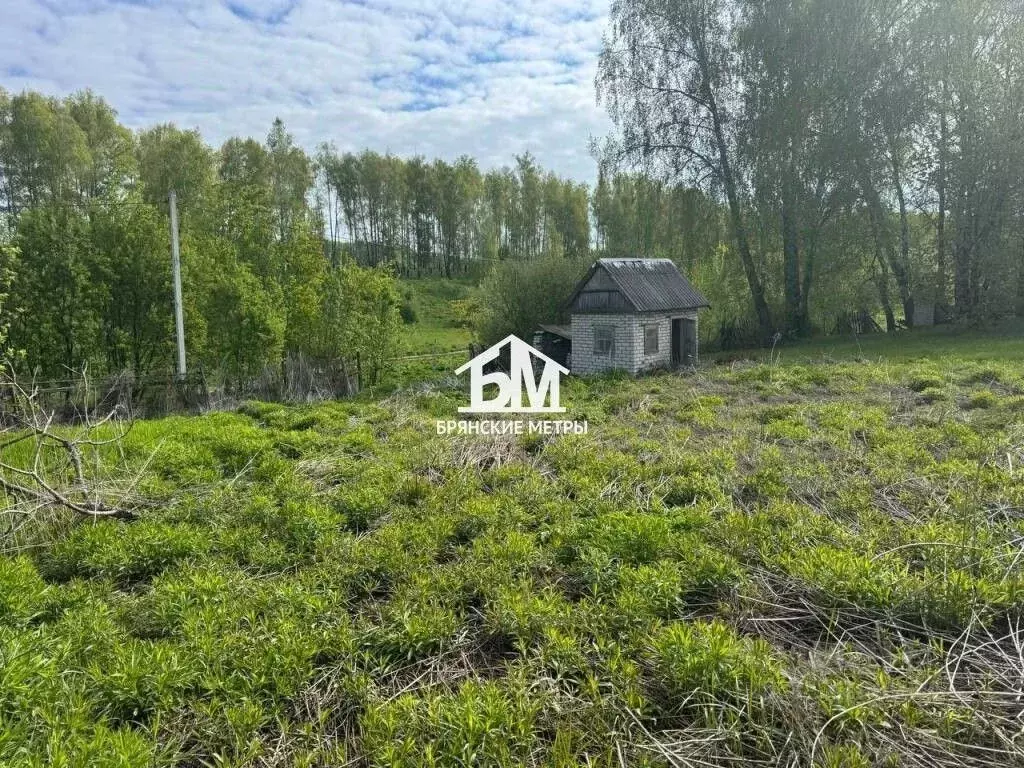 Участок в Брянская область, Брянский район, Мичуринское с/пос, ... - Фото 0