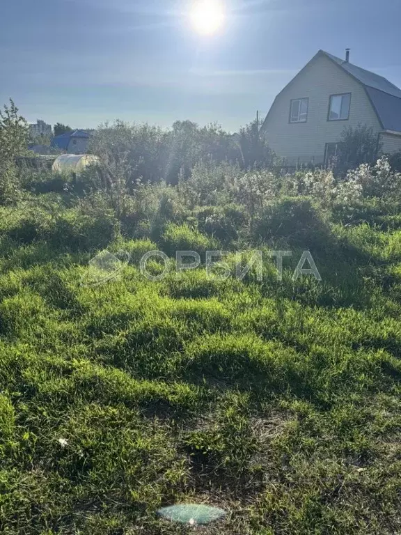 Участок в Тюменская область, Тюмень Энергия садовое товарищество, ул. ... - Фото 2