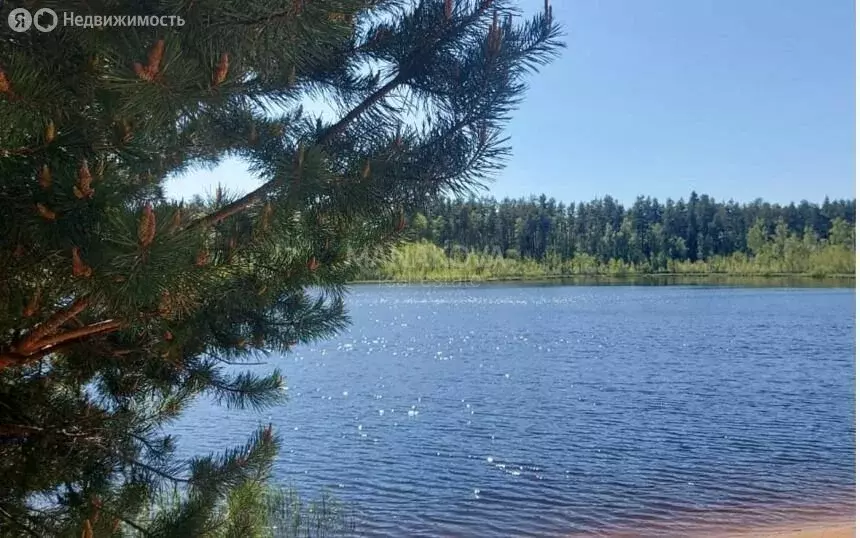 Участок в деревня Снегирёвка, Лучезарная улица (12 м) - Фото 0