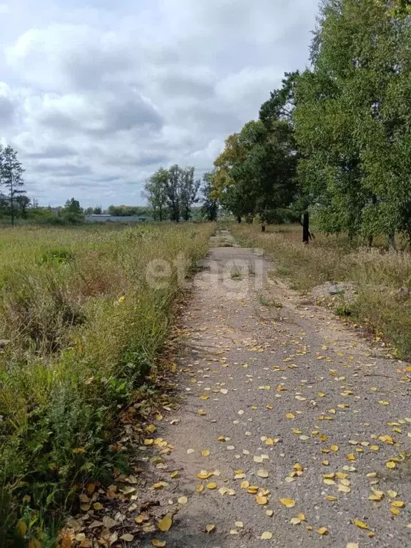 Участок в Амурская область, Белогорск ул. Радиальная (10.9 сот.) - Фото 1