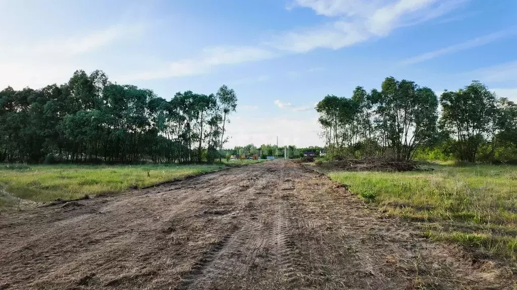 Участок в Воронежская область, Рамонский район, Березовское с/пос, д. ... - Фото 1