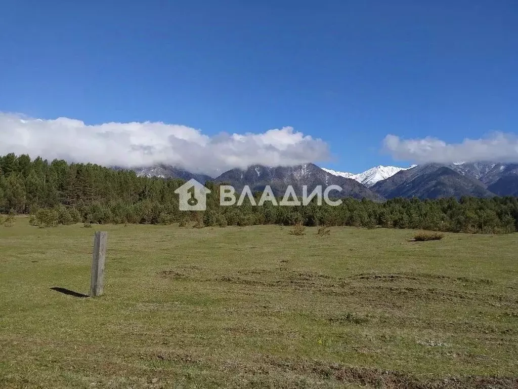 Участок в Бурятия, Тункинский район, с. Тагархай ул. Тулаева (12.5 ... - Фото 1