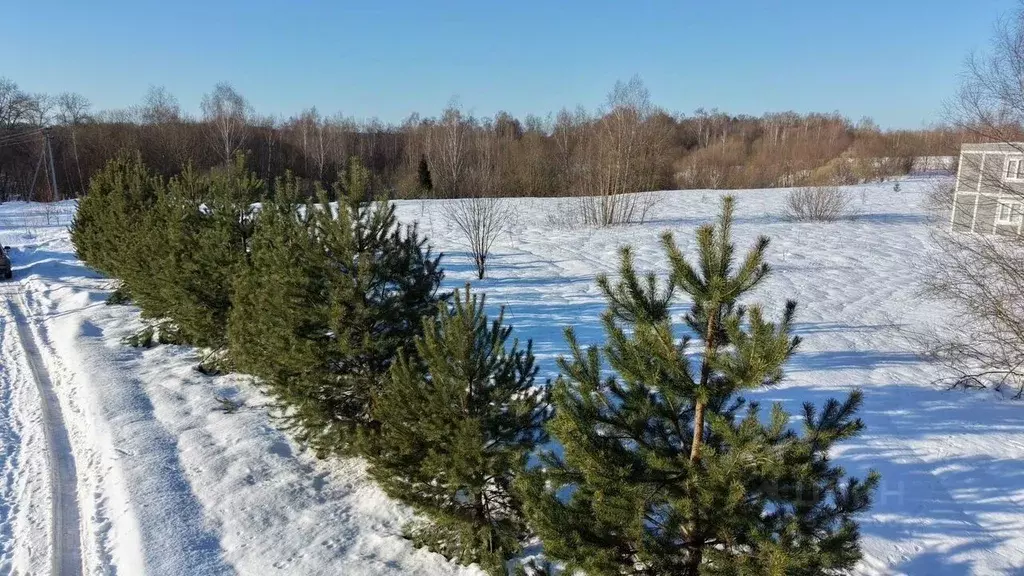 Участок в Московская область, Истра муниципальный округ, д. ... - Фото 1
