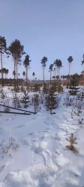 Участок в Забайкальский край, Читинский район ул. Зеленая, 55 (15.0 ... - Фото 0