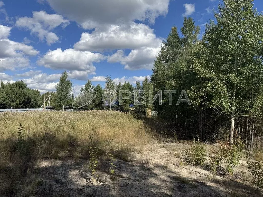 Участок в Тюменская область, Тюменский район, Архитектор СНТ ул. ... - Фото 0