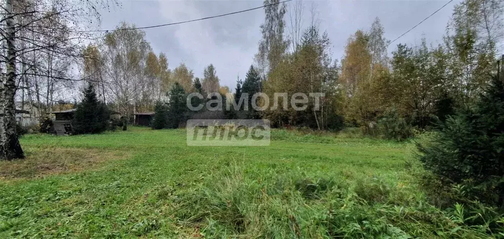 Участок в Московская область, Одинцовский городской округ, Лада СНТ  ... - Фото 2