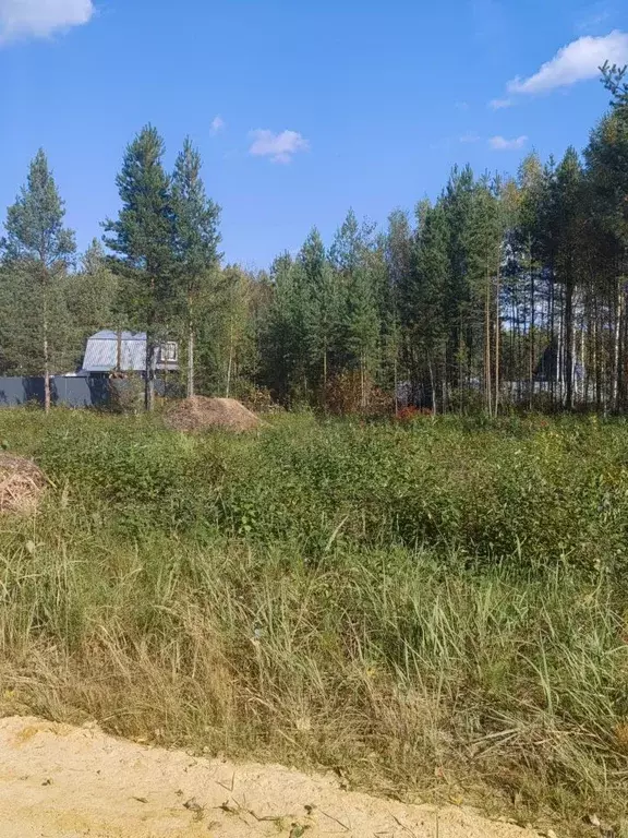 Участок в Марий Эл, Медведевский район, Кундышское с/пос, Строитель ... - Фото 2