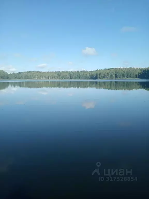 Дом в Псковская область, Псковский район, Середкинская волость, ... - Фото 0