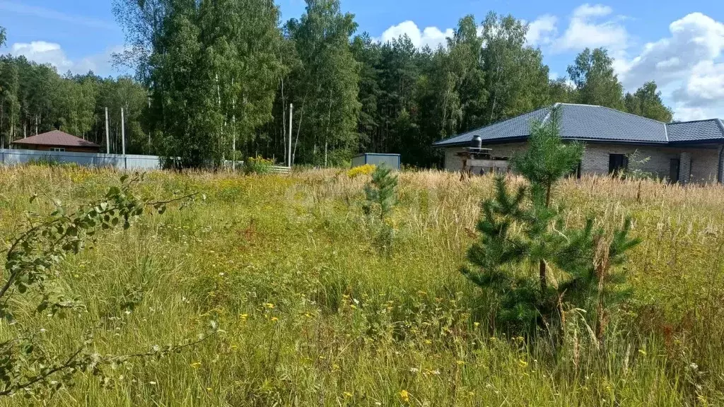 Участок в Брянская область, Брянский район, Свенское с/пос, пос. Свень ... - Фото 2
