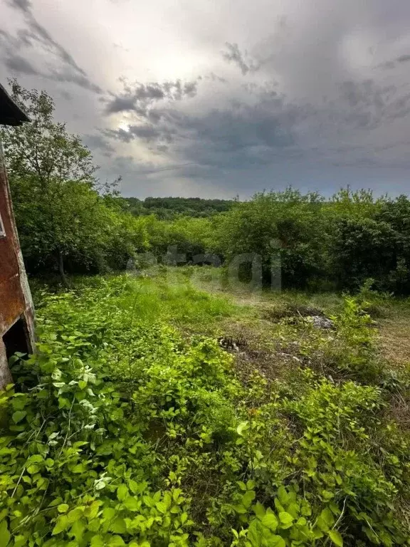 Участок в Амурская область, Благовещенск Светлана СТ,  (10.0 сот.) - Фото 0