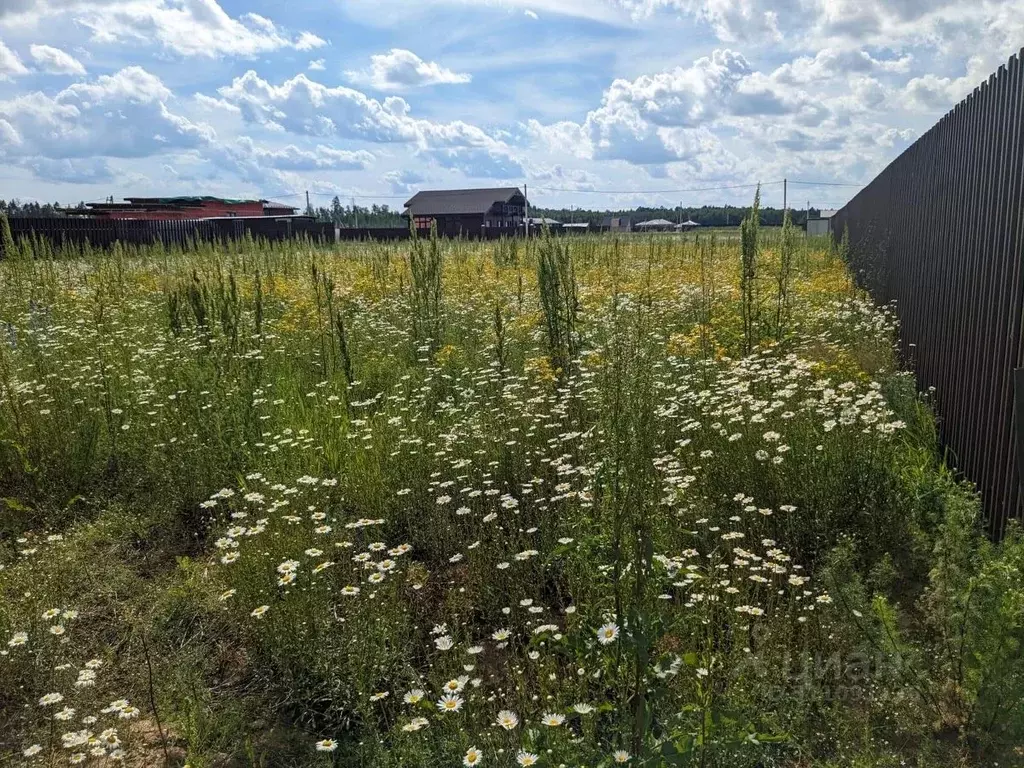 Участок в Московская область, Ступино городской округ, Шелково Вилладж ... - Фото 1