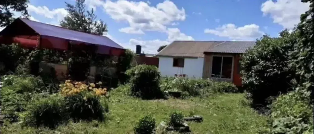 Дом в Калужская область, Козельск Колхозная ул., 6 (45 м) - Фото 1