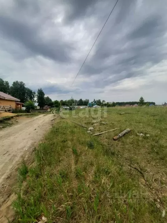 Участок в Алтайский край, Бийск городской округ, с. Фоминское пер. ... - Фото 1