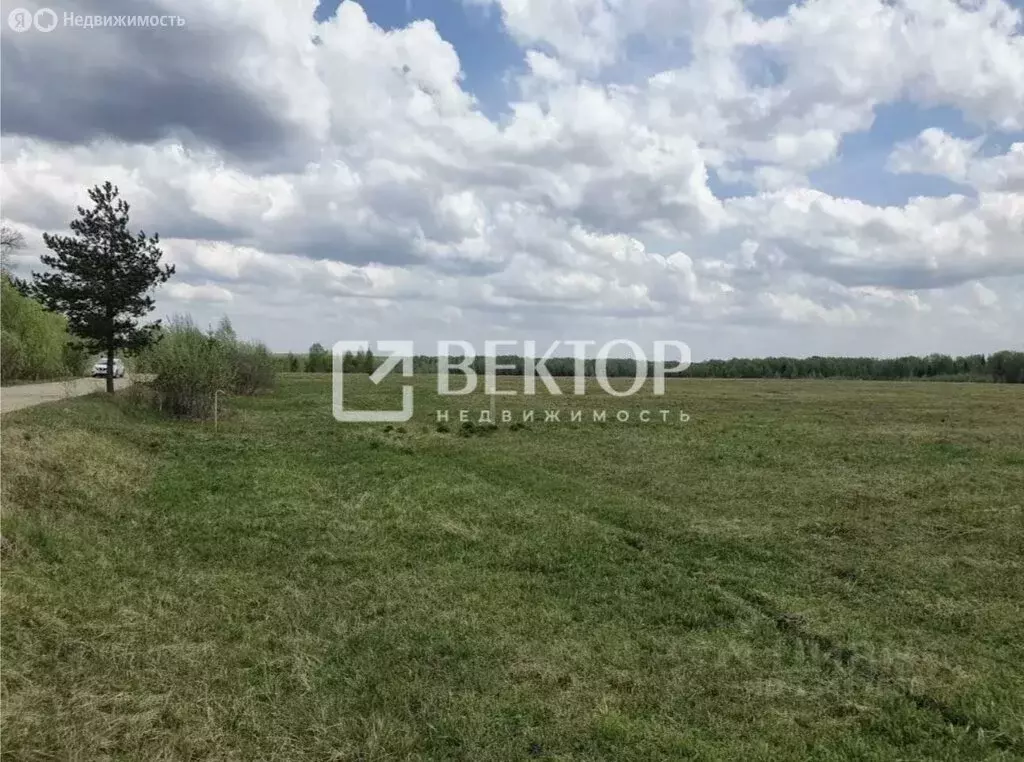 Участок в Ивановский район, Беляницкое сельское поселение, деревня ... - Фото 2