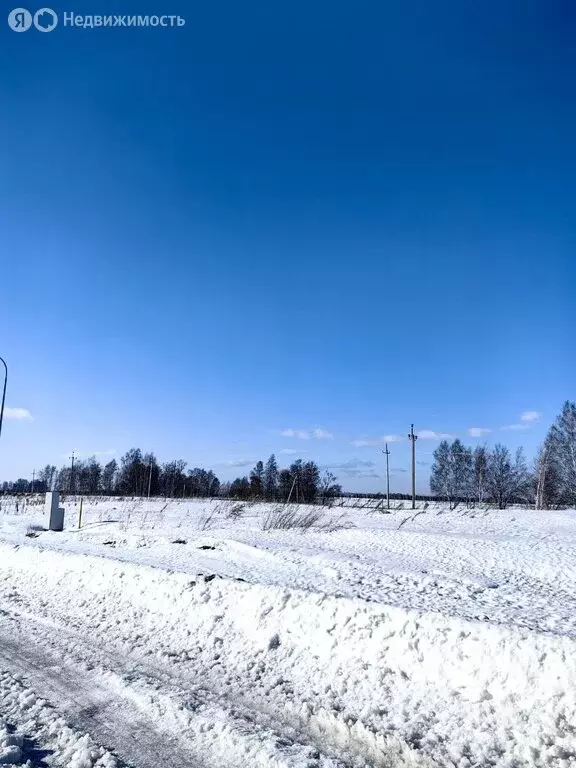 Участок в село Фирсово, улица Ивана Мичурина (10 м) - Фото 1