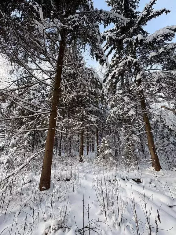 Участок в Московская область, Волоколамский муниципальный округ, ... - Фото 2