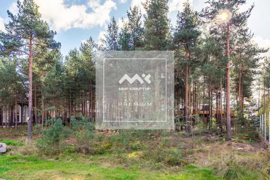 Участок в Ленинградская область, Всеволожский район, Бугровское ... - Фото 1