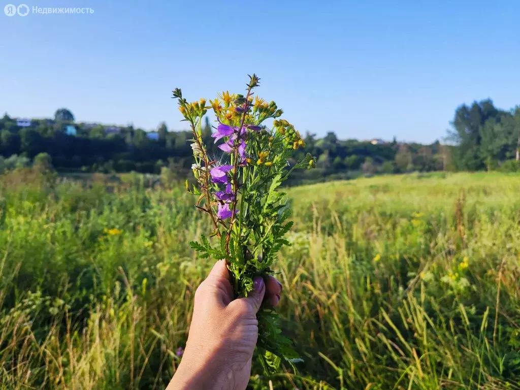 Участок в Семилукский район, село Девица (18 м) - Фото 1