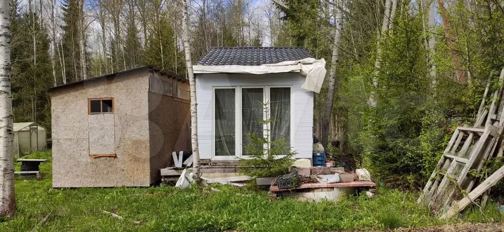 Дом 22 м на участке 10 сот. - Фото 1