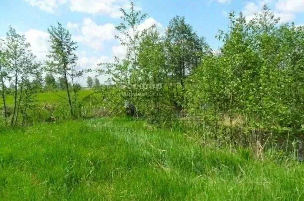 Участок в Крым, Кировский район, с. Журавки ул. Мира (25.0 сот.) - Фото 1