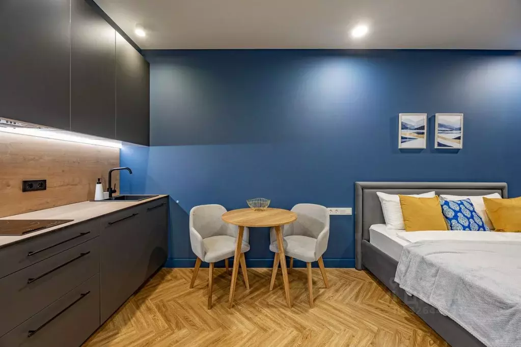 Студия Санкт-Петербург Вазаский пер., 3 (32.0 м) - Фото 2