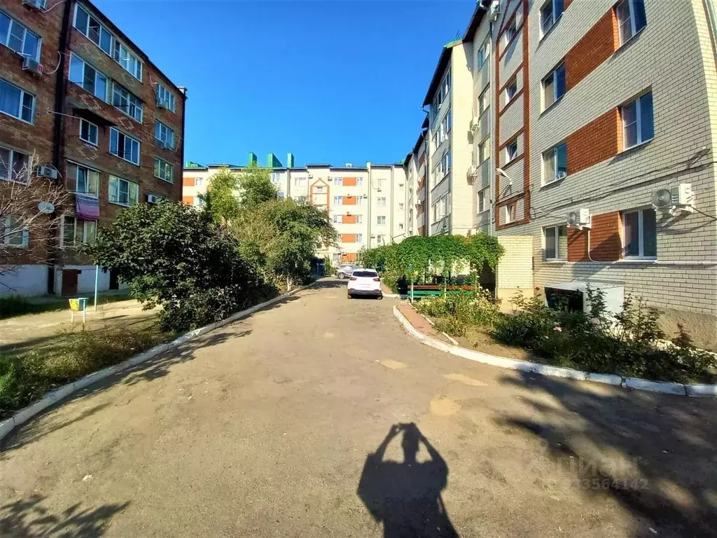 2-к кв. Краснодарский край, Ейск ул. Центральная, 64/4 (50.0 м) - Фото 2