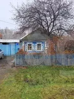 Дом в Челябинская область, Пласт Садовая ул., 30 (39 м) - Фото 2